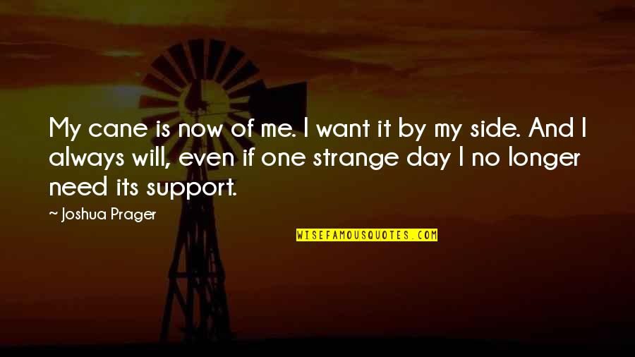 Leverne Mcghee Quotes By Joshua Prager: My cane is now of me. I want