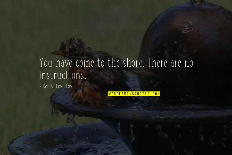 Levertov Quotes By Denise Levertov: You have come to the shore. There are