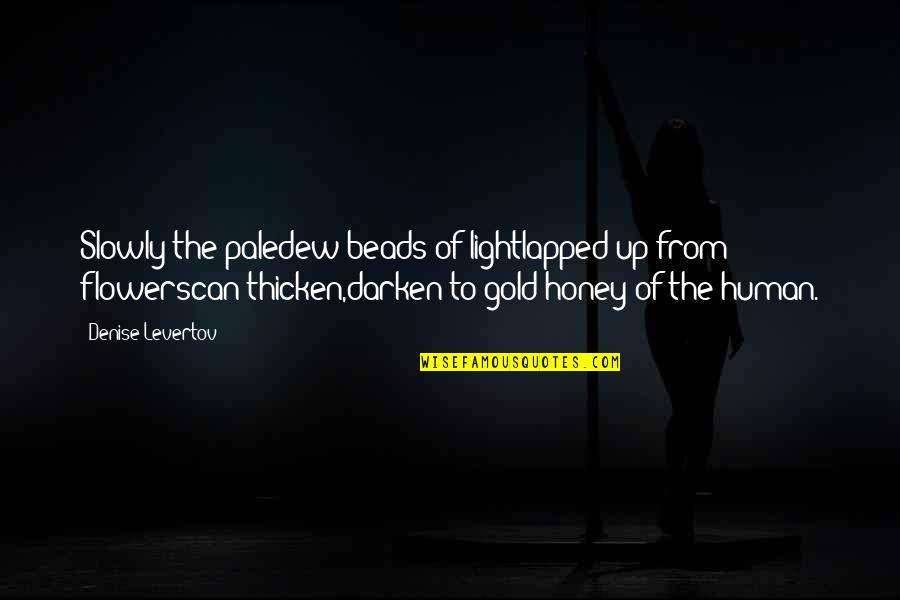 Levertov Quotes By Denise Levertov: Slowly the paledew-beads of lightlapped up from flowerscan