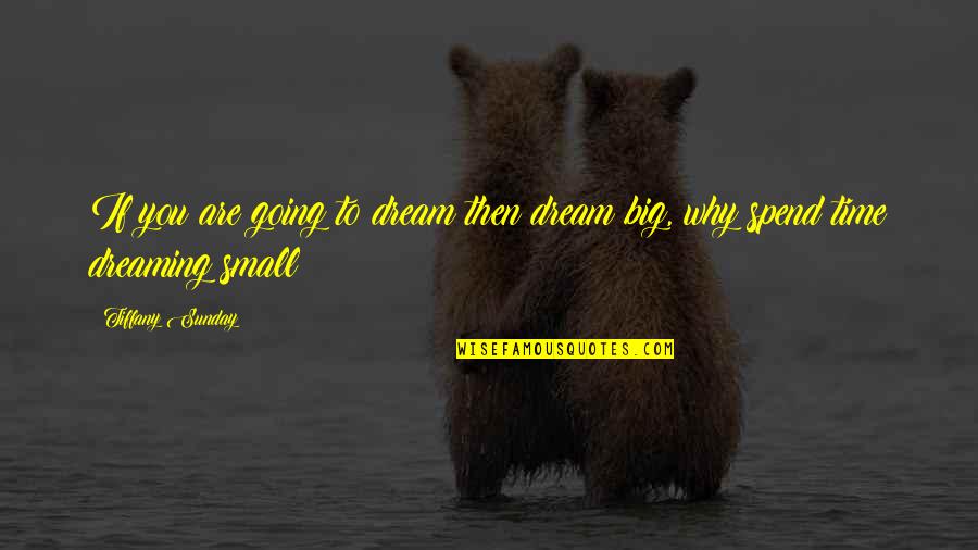 Levester Williams Quotes By Tiffany Sunday: If you are going to dream then dream
