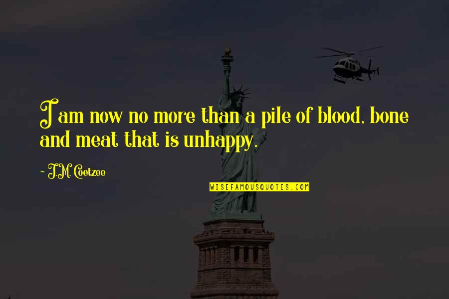 Levi Kazama Quotes By J.M. Coetzee: I am now no more than a pile