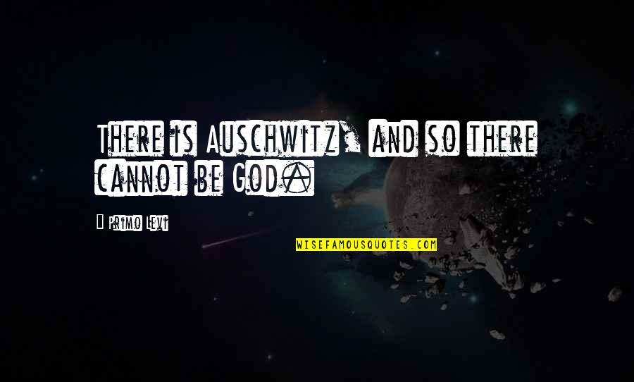 Levi Quotes By Primo Levi: There is Auschwitz, and so there cannot be