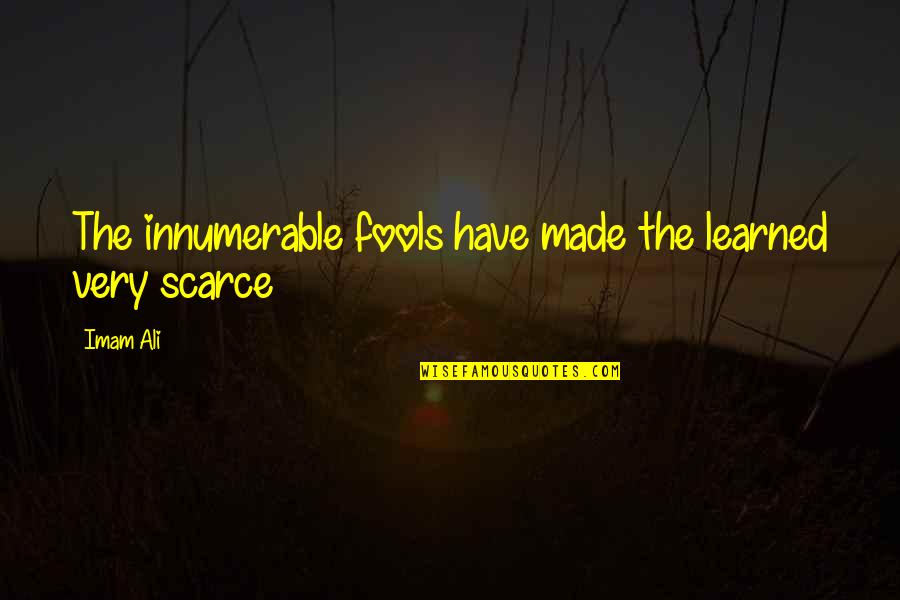 Levian Chocolate Quotes By Imam Ali: The innumerable fools have made the learned very