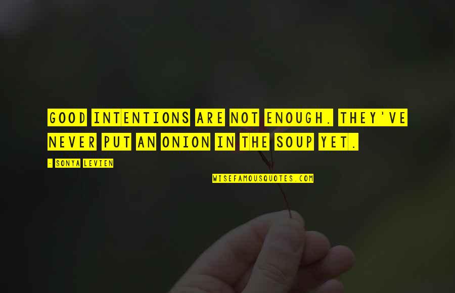 Levien Quotes By Sonya Levien: Good intentions are not enough. They've never put