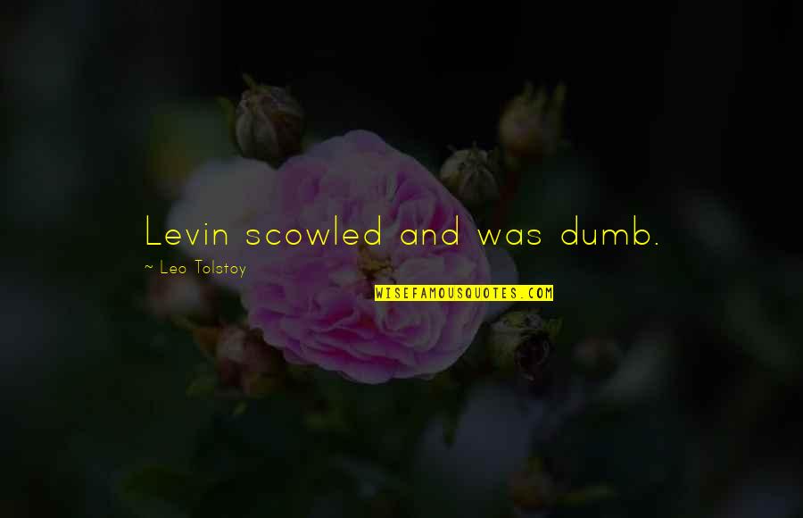 Levin's Quotes By Leo Tolstoy: Levin scowled and was dumb.