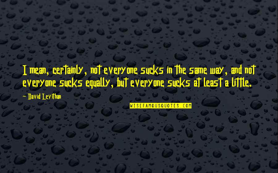 Levithan Quotes By David Levithan: I mean, certainly, not everyone sucks in the