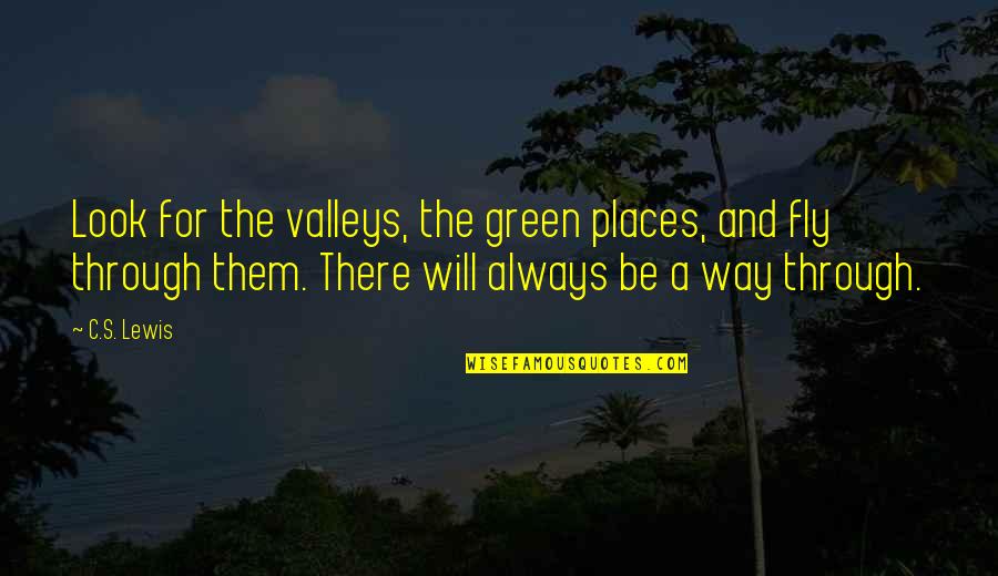 Leviton Timer Quotes By C.S. Lewis: Look for the valleys, the green places, and