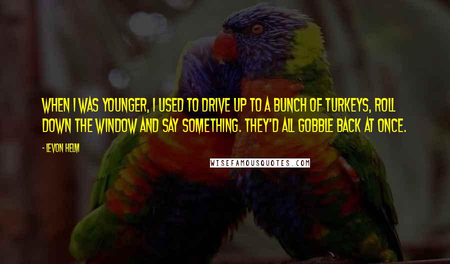 Levon Helm quotes: When I was younger, I used to drive up to a bunch of turkeys, roll down the window and say something. They'd all gobble back at once.