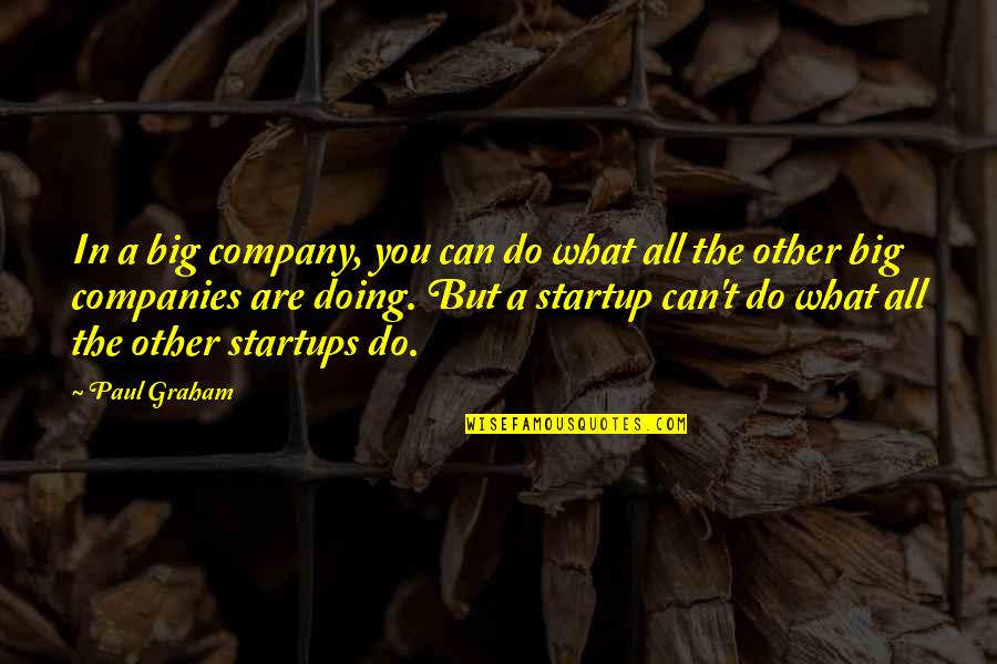 Lewis Michaux Quotes By Paul Graham: In a big company, you can do what Lewis Michaux Quotes By Paul Graham: In a big company, you can do what