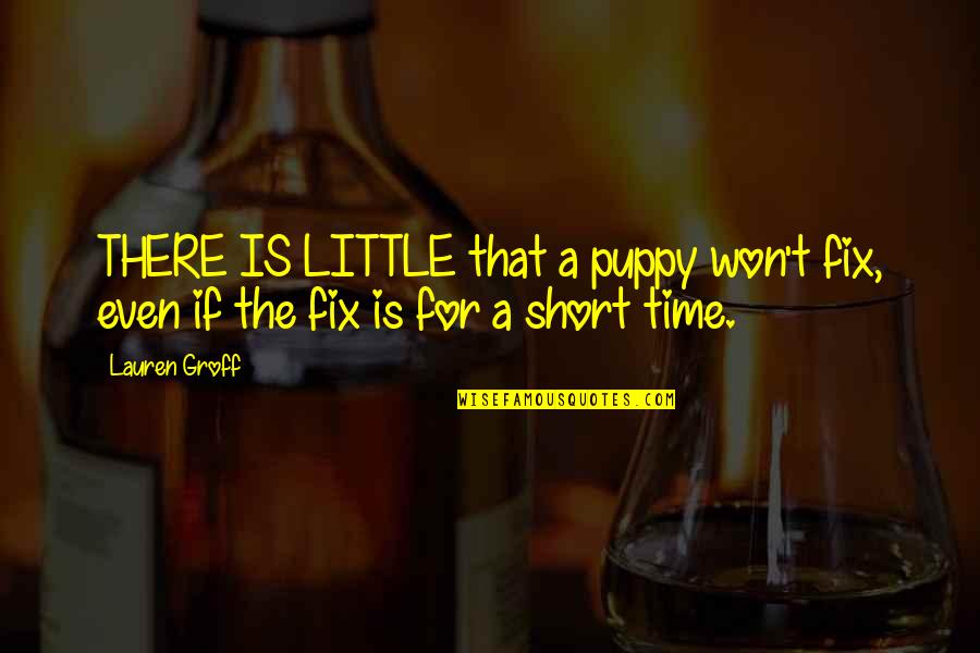 Lewus Quotes By Lauren Groff: THERE IS LITTLE that a puppy won't fix,