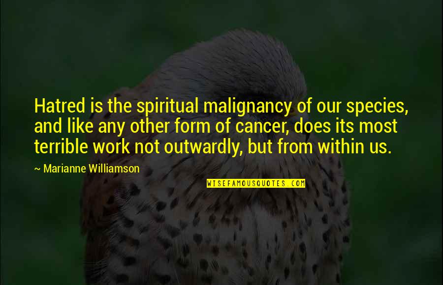 Lexicographers Quotes By Marianne Williamson: Hatred is the spiritual malignancy of our species,