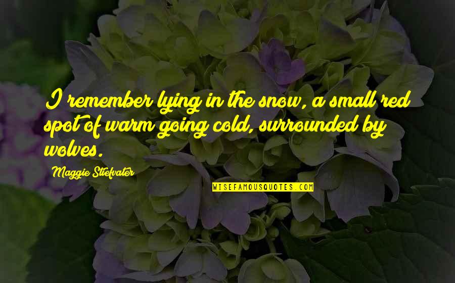 Lexicon Literary Quotes By Maggie Stiefvater: I remember lying in the snow, a small