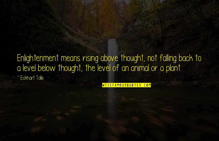 Lexie Grey I Love You Quotes By Eckhart Tolle: Enlightenment means rising above thought, not falling back