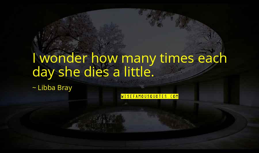 Leynes Law Quotes By Libba Bray: I wonder how many times each day she