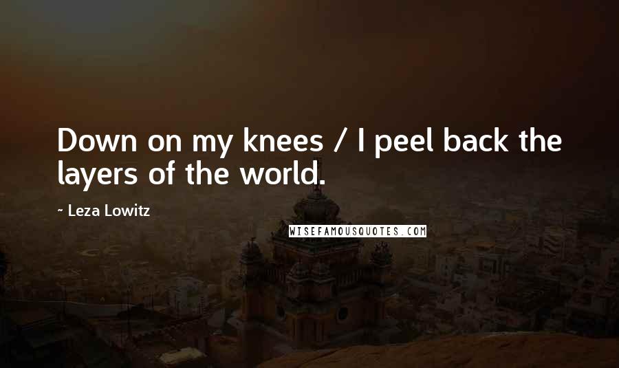 Leza Lowitz quotes: Down on my knees / I peel back the layers of the world.