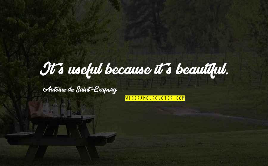Lezcano Hnos Quotes By Antoine De Saint-Exupery: It's useful because it's beautiful. Lezcano Hnos Quotes By Antoine De Saint-Exupery: It's useful because it's beautiful.