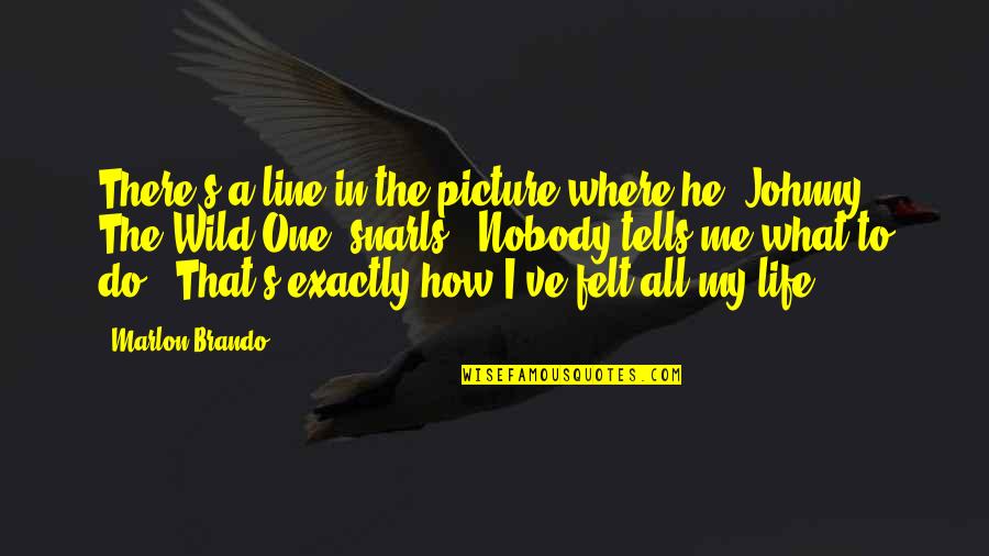 Lezcano Hnos Quotes By Marlon Brando: There's a line in the picture where he Lezcano Hnos Quotes By Marlon Brando: There's a line in the picture where he