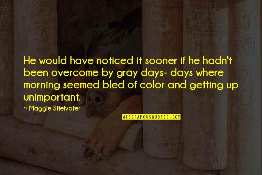 Lgbt Senior Quotes By Maggie Stiefvater: He would have noticed it sooner if he