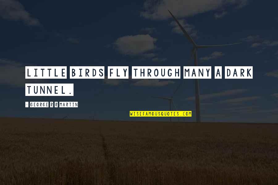 Lgodm Quotes By George R R Martin: Little birds fly through many a dark tunnel. Lgodm Quotes By George R R Martin: Little birds fly through many a dark tunnel.