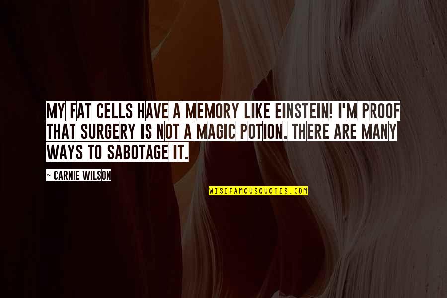 Lhayawanat Quotes By Carnie Wilson: My fat cells have a memory like Einstein!