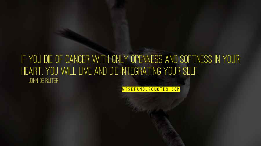 Lhs High School Quotes By John De Ruiter: If you die of cancer with only openness Lhs High School Quotes By John De Ruiter: If you die of cancer with only openness