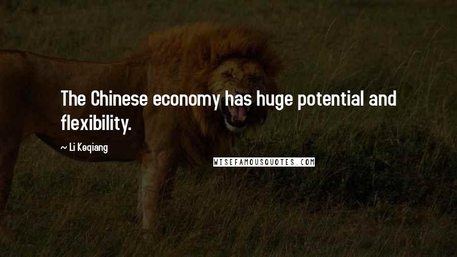 Li Keqiang quotes: The Chinese economy has huge potential and flexibility.