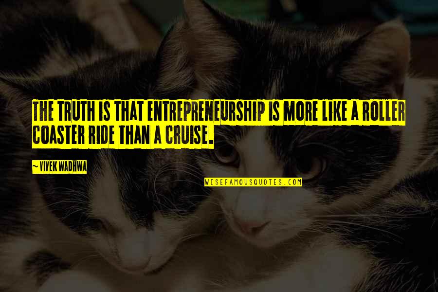 Liada Definicion Quotes By Vivek Wadhwa: The truth is that entrepreneurship is more like