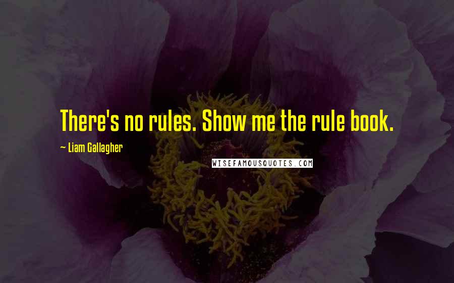 Liam Gallagher quotes: There's no rules. Show me the rule book.