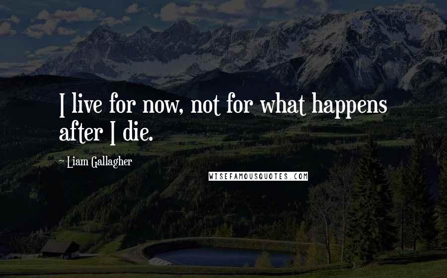 Liam Gallagher quotes: I live for now, not for what happens after I die.