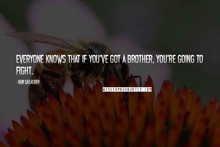 Liam Gallagher quotes: Everyone knows that if you've got a brother, you're going to fight.