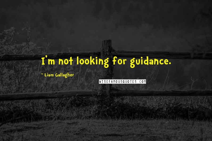 Liam Gallagher quotes: I'm not looking for guidance.