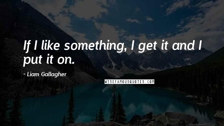 Liam Gallagher quotes: If I like something, I get it and I put it on.