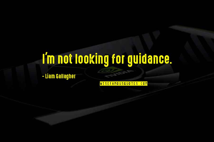 Liam Gallagher Quotes By Liam Gallagher: I'm not looking for guidance. Liam Gallagher Quotes By Liam Gallagher: I'm not looking for guidance.