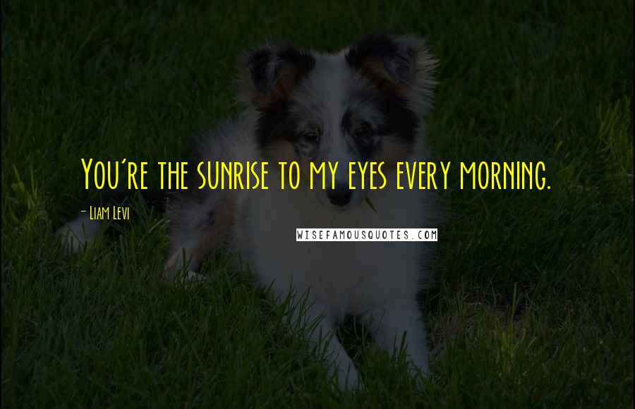 Liam Levi quotes: You're the sunrise to my eyes every morning.