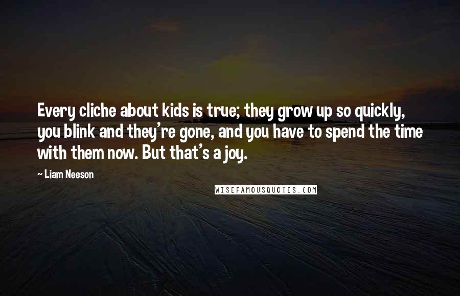 Liam Neeson quotes: Every cliche about kids is true; they grow up so quickly, you blink and they're gone, and you have to spend the time with them now. But that's a joy.