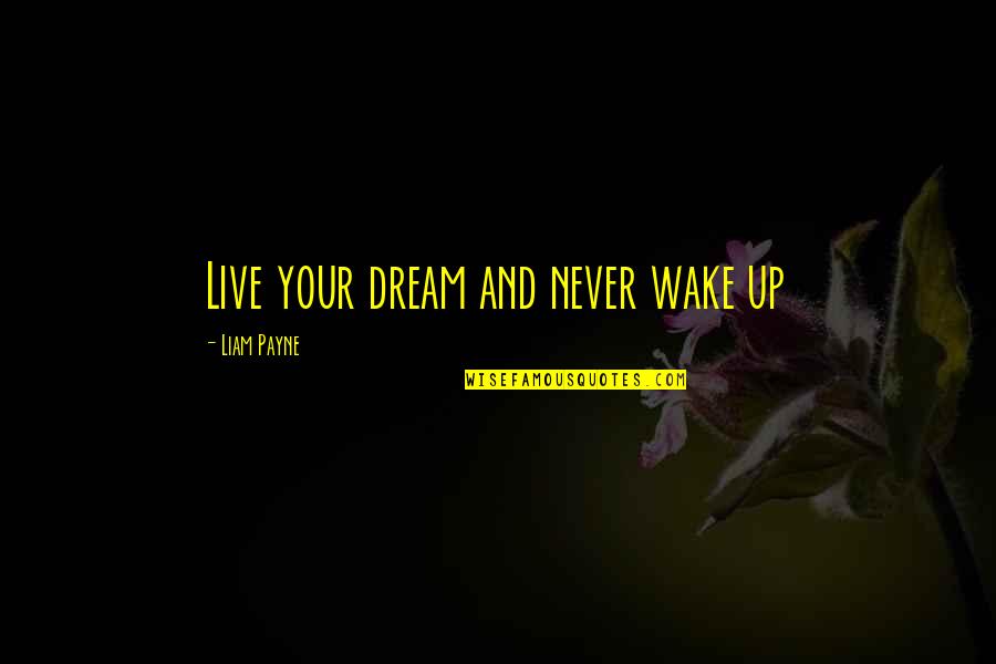 Liam Payne Quotes By Liam Payne: Live your dream and never wake up Liam Payne Quotes By Liam Payne: Live your dream and never wake up