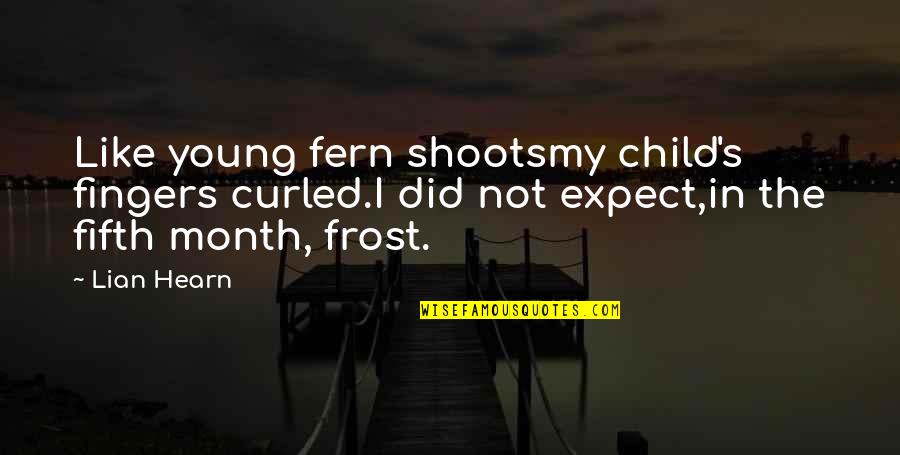 Lian Hearn Quotes By Lian Hearn: Like young fern shootsmy child's fingers curled.I did Lian Hearn Quotes By Lian Hearn: Like young fern shootsmy child's fingers curled.I did