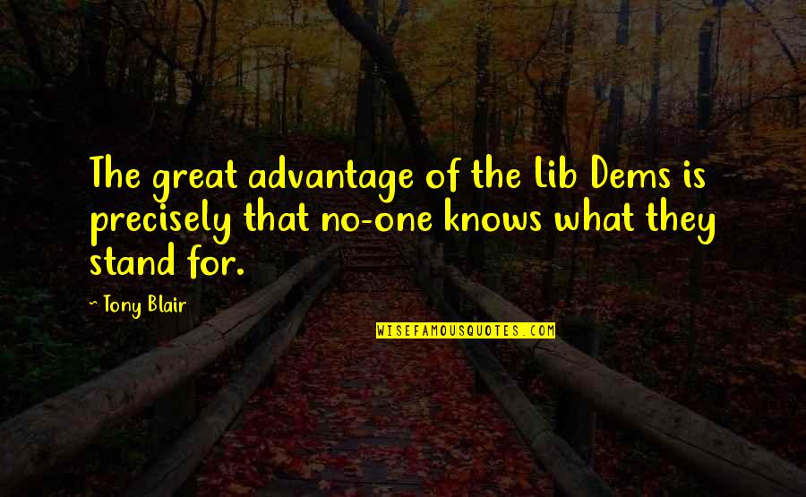 Lib Quotes By Tony Blair: The great advantage of the Lib Dems is