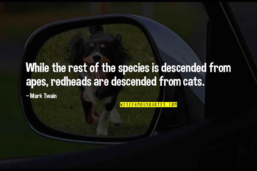 Libby Mae Brown Quotes By Mark Twain: While the rest of the species is descended Libby Mae Brown Quotes By Mark Twain: While the rest of the species is descended
