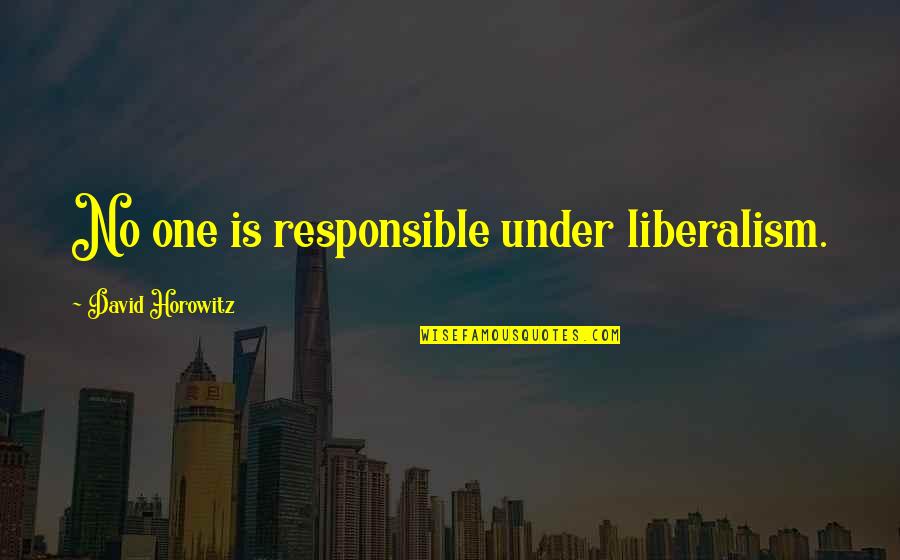 Liberalism's Quotes By David Horowitz: No one is responsible under liberalism.