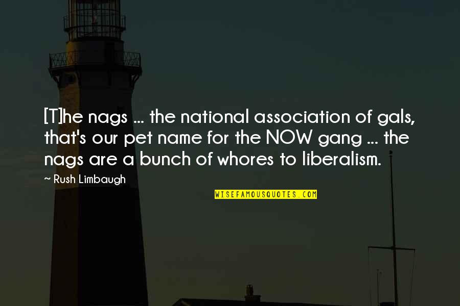 Liberalism's Quotes By Rush Limbaugh: [T]he nags ... the national association of gals,
