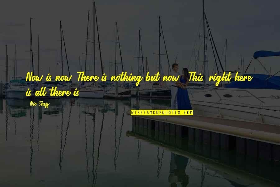 Liberalizes Quotes By Nic Sheff: Now is now. There is nothing but now...