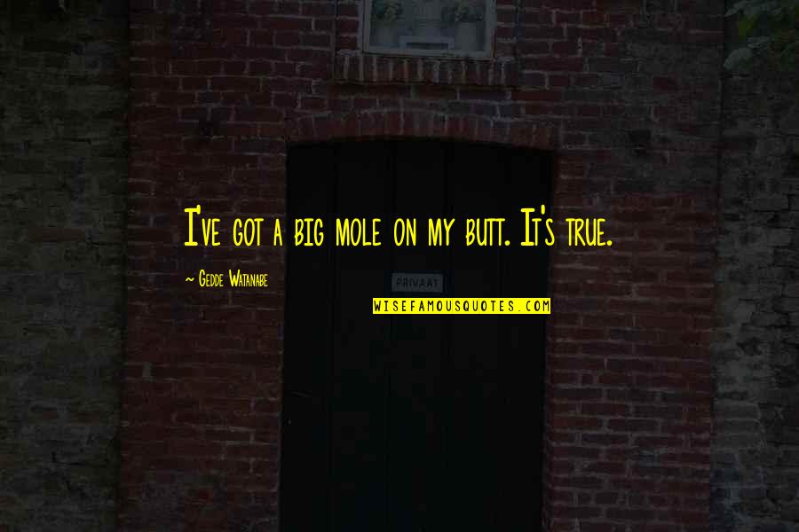Liberase Sigma Quotes By Gedde Watanabe: I've got a big mole on my butt. Liberase Sigma Quotes By Gedde Watanabe: I've got a big mole on my butt.