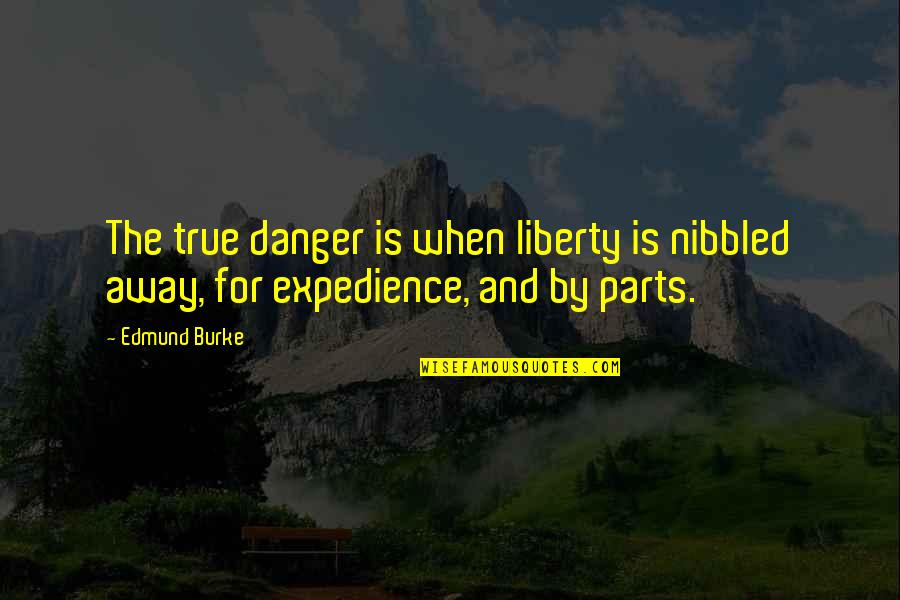 Liberty 5-3000 Quotes By Edmund Burke: The true danger is when liberty is nibbled