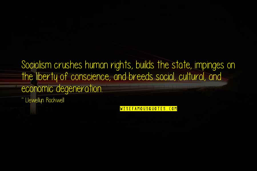 Liberty Of Conscience Quotes By Llewellyn Rockwell: Socialism crushes human rights, builds the state, impinges Liberty Of Conscience Quotes By Llewellyn Rockwell: Socialism crushes human rights, builds the state, impinges