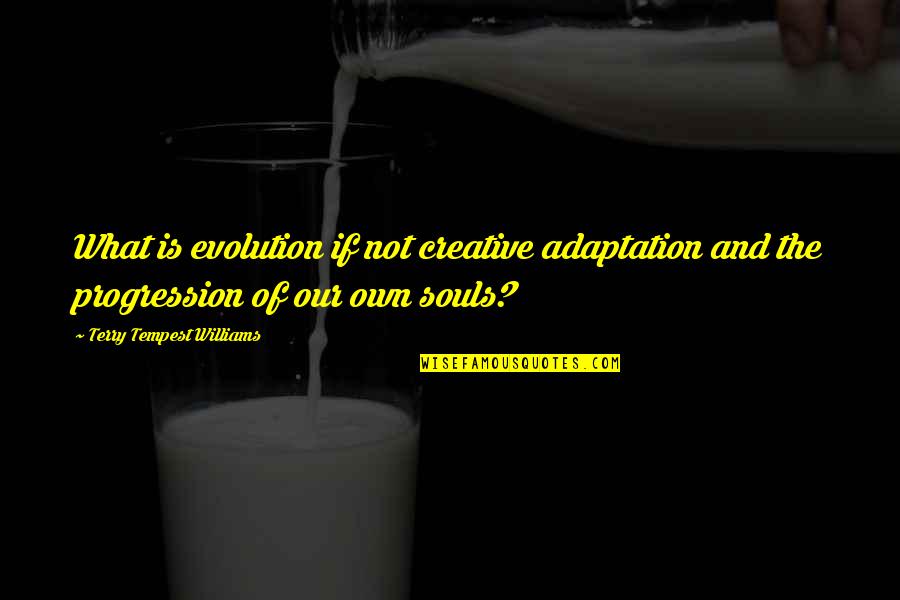 Libical Quotes By Terry Tempest Williams: What is evolution if not creative adaptation and