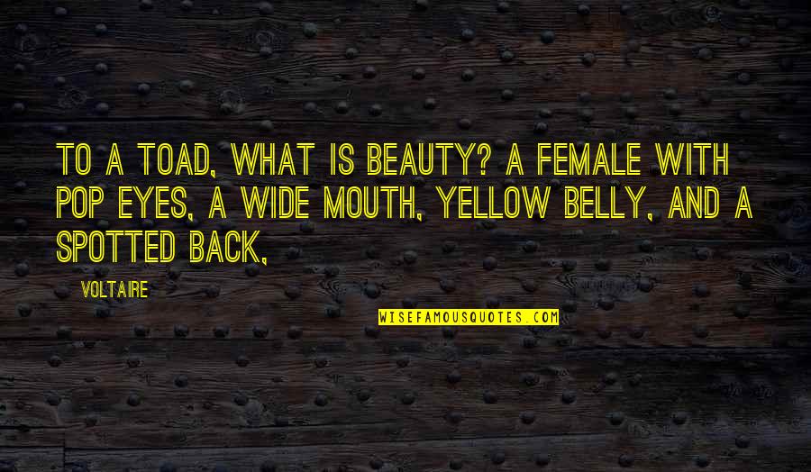 Libor Trader Quotes By Voltaire: To a toad, what is beauty? A female Libor Trader Quotes By Voltaire: To a toad, what is beauty? A female