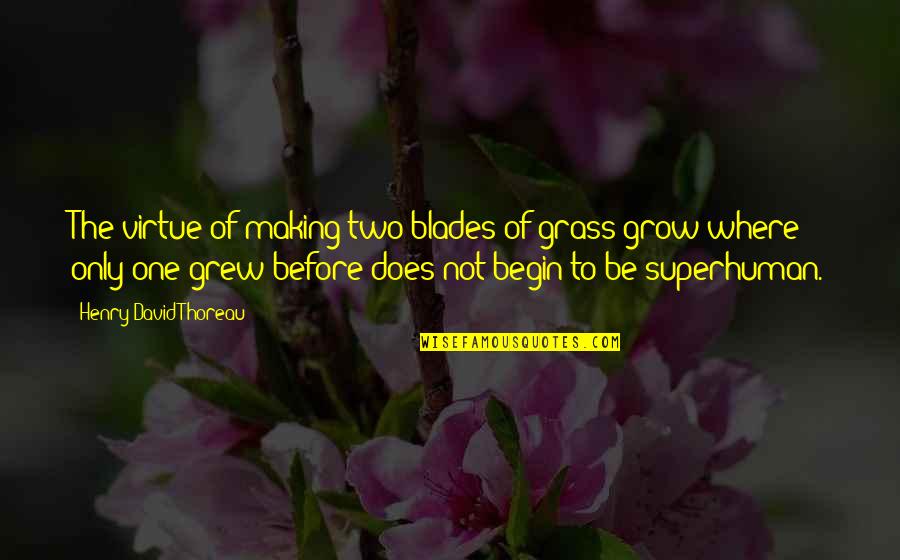 Librestock Quotes By Henry David Thoreau: The virtue of making two blades of grass