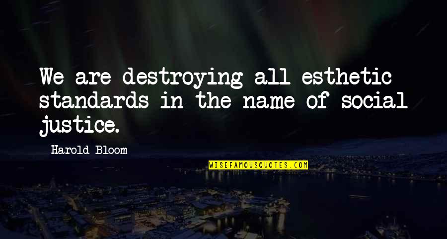 Librettist Harbach Quotes By Harold Bloom: We are destroying all esthetic standards in the