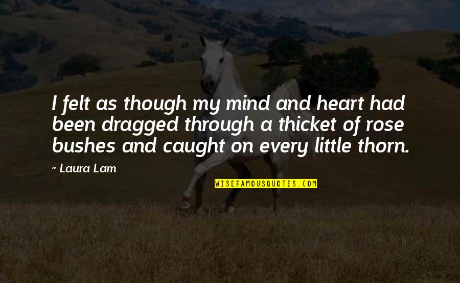 Licelott Quotes By Laura Lam: I felt as though my mind and heart